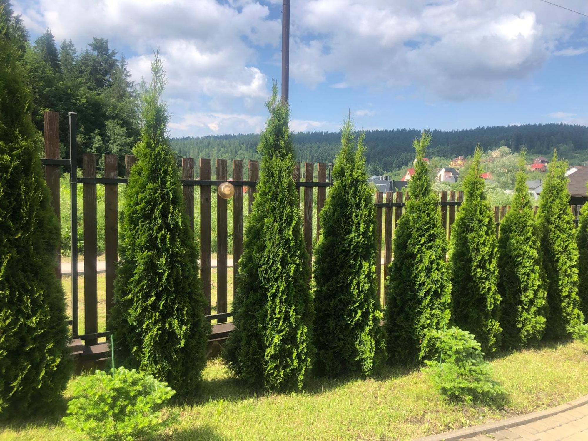 Totem Aparthotel Skhidnytsia Bagian luar foto